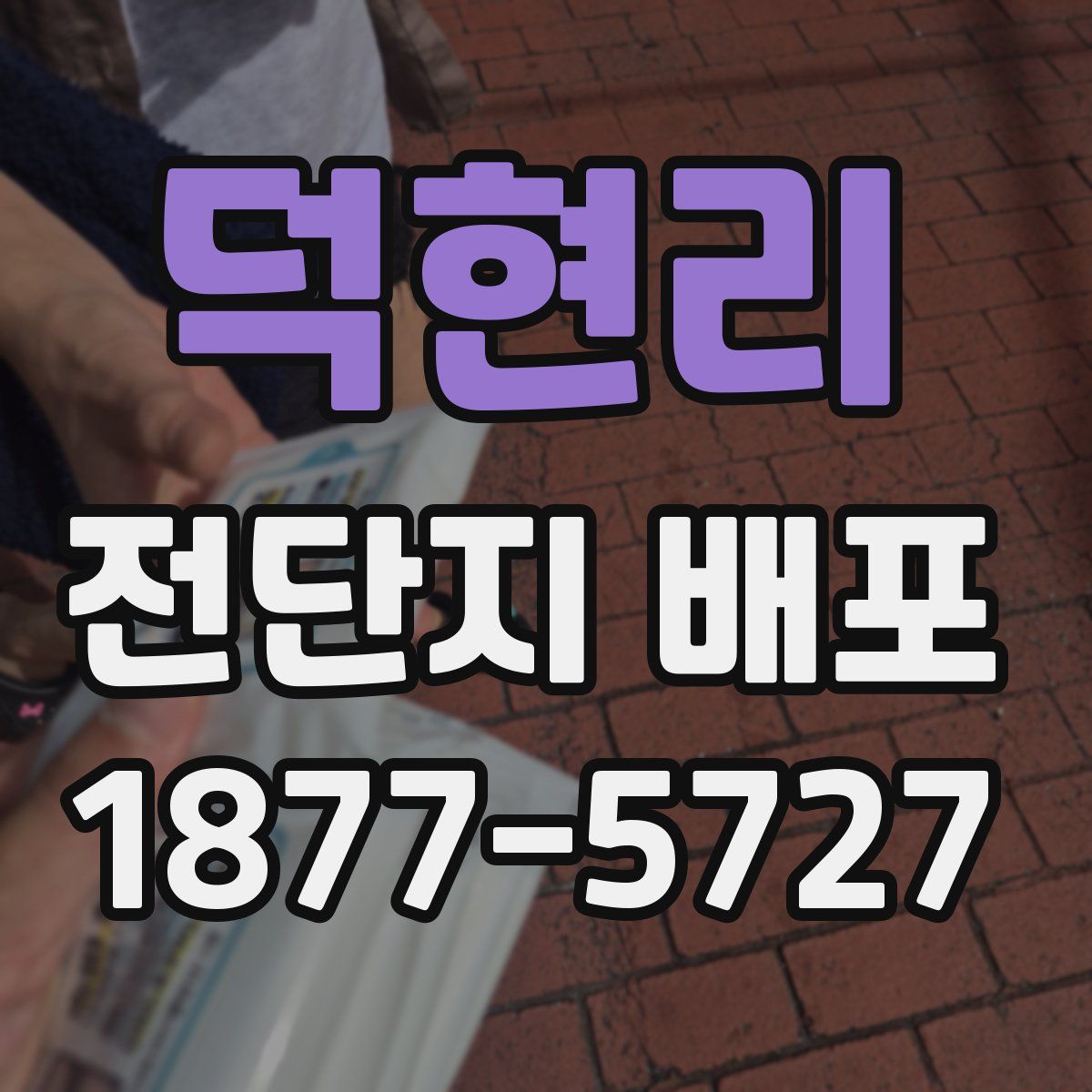 덕현리 전단지 배포