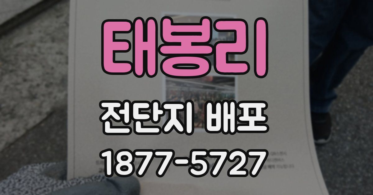 태봉리 전단지 배포