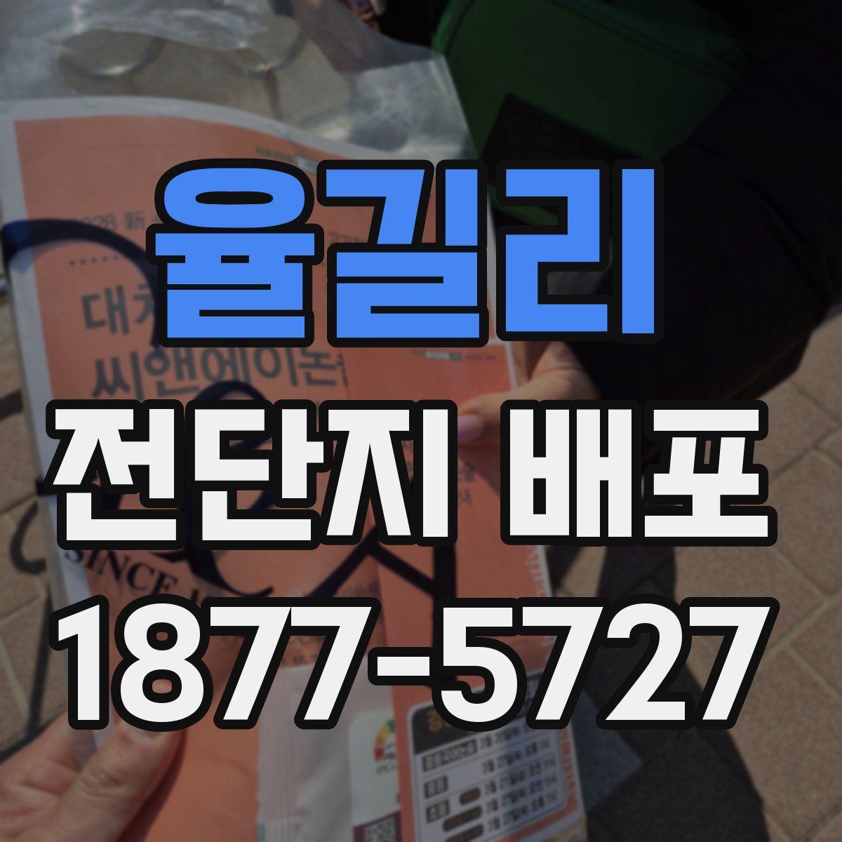 율길리 전단지 배포