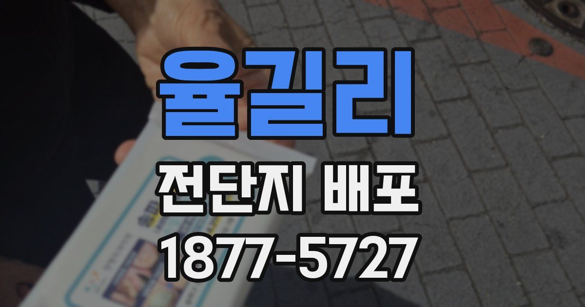 율길리 전단지 배포