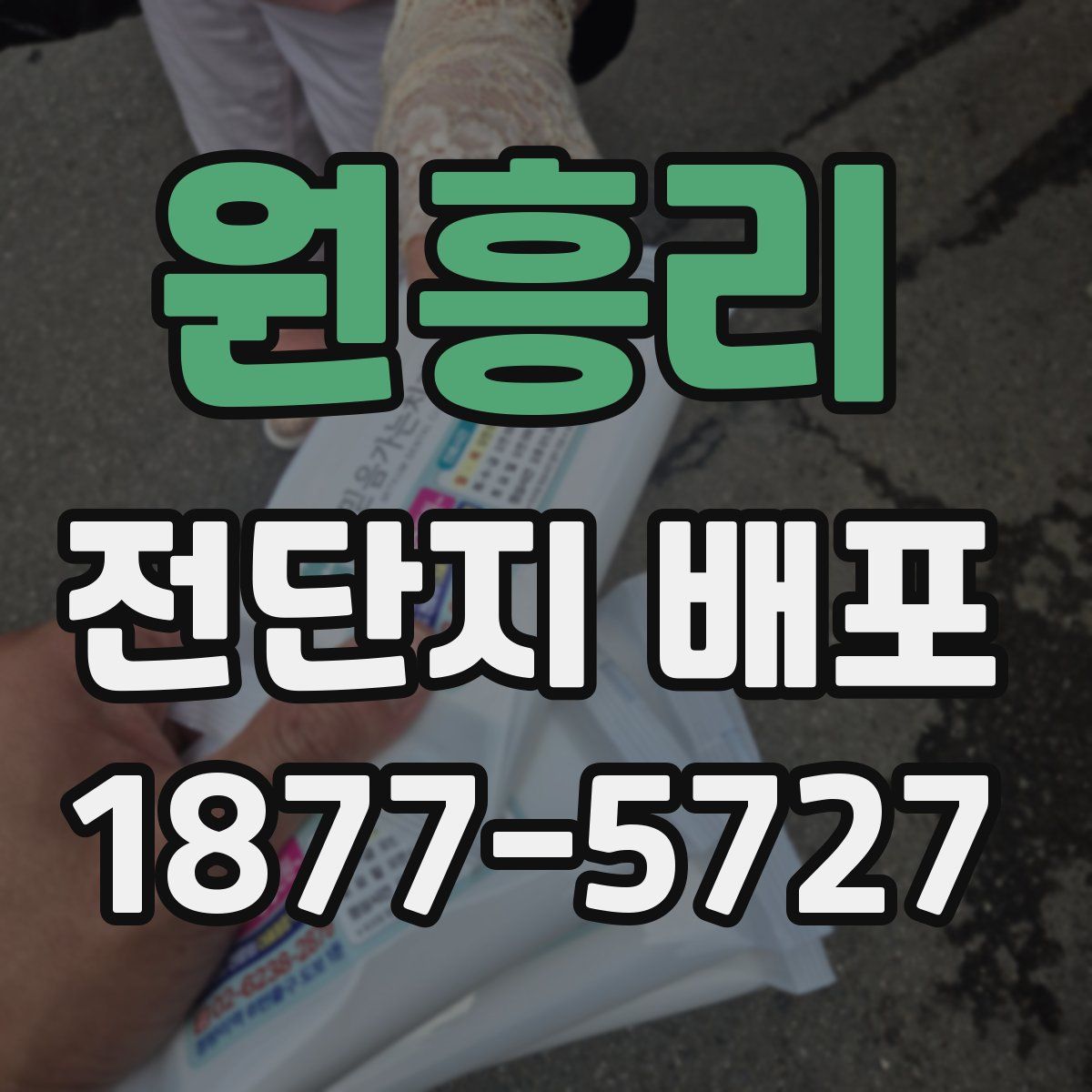 원흥리 전단지 배포