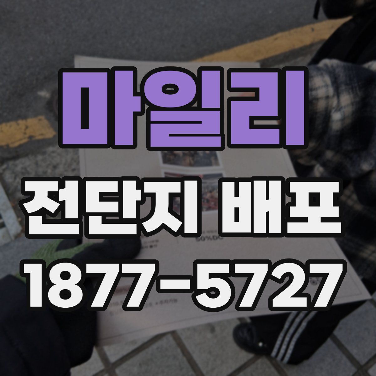 마일리 전단지 배포