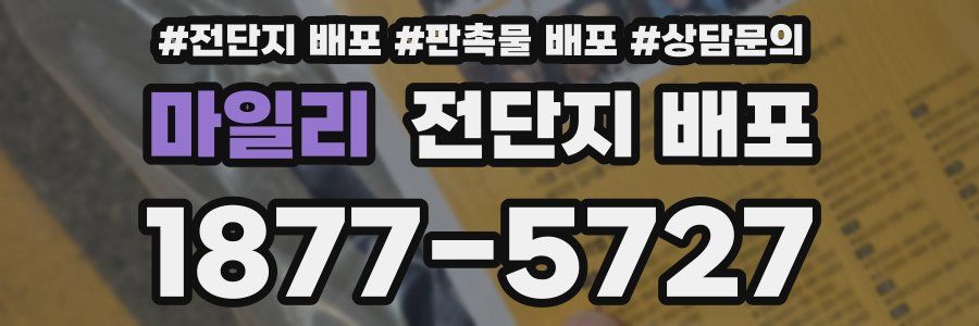 마일리 전단지 배포