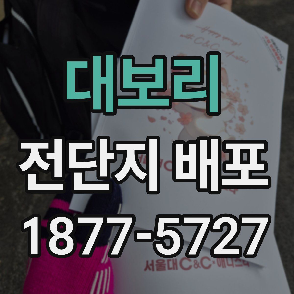 대보리 전단지 배포
