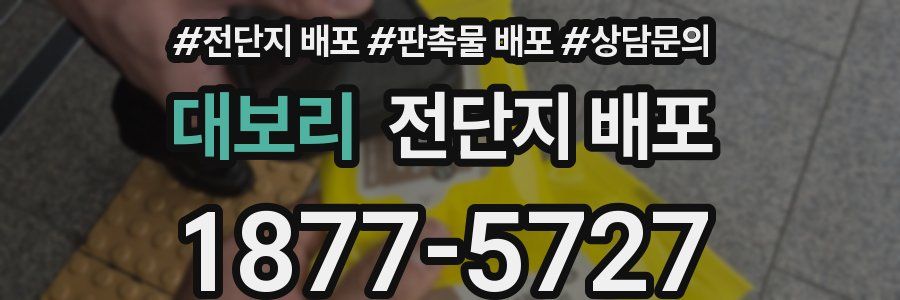 대보리 전단지 배포