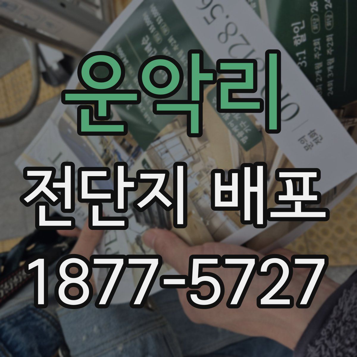 운악리 전단지 배포