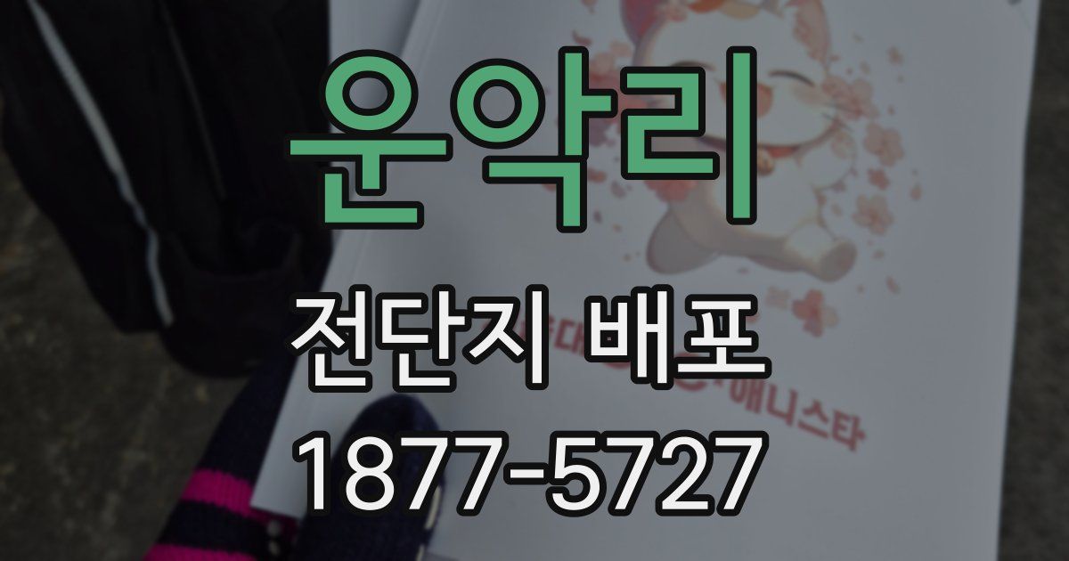 운악리 전단지 배포