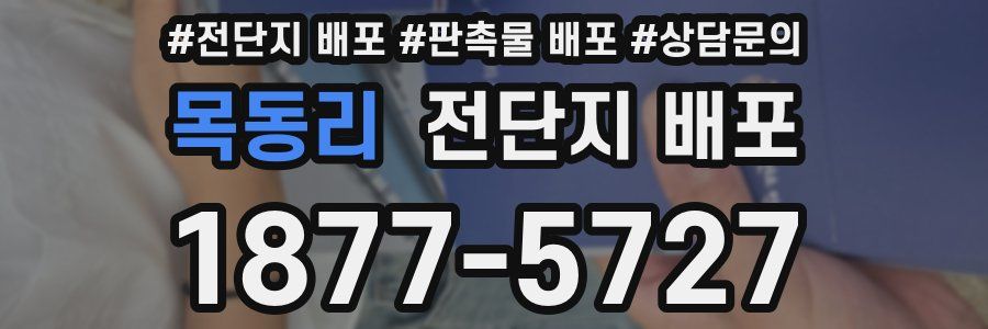목동리 전단지 배포