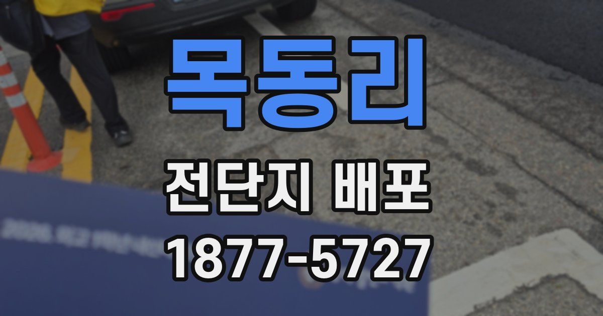 목동리 전단지 배포