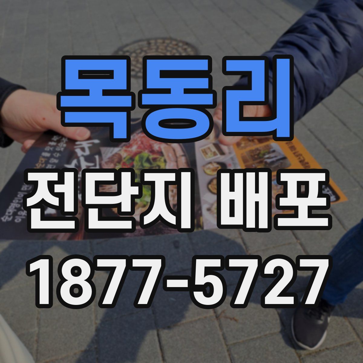 목동리 전단지 배포