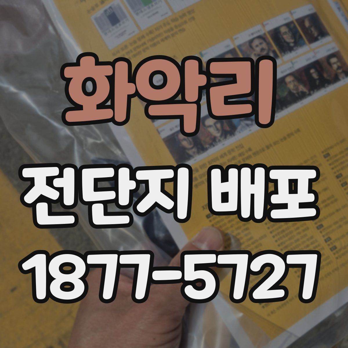 화악리 전단지 배포