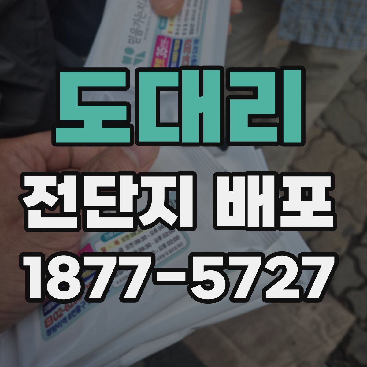 도대리 전단지 배포