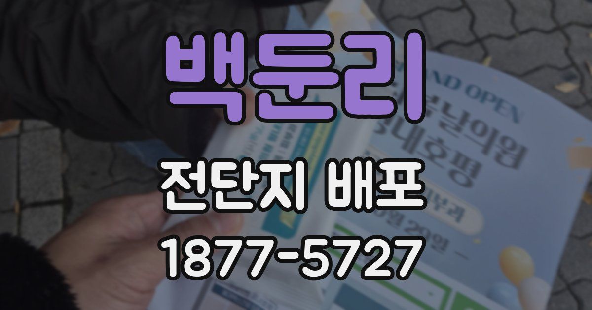 백둔리 전단지 배포