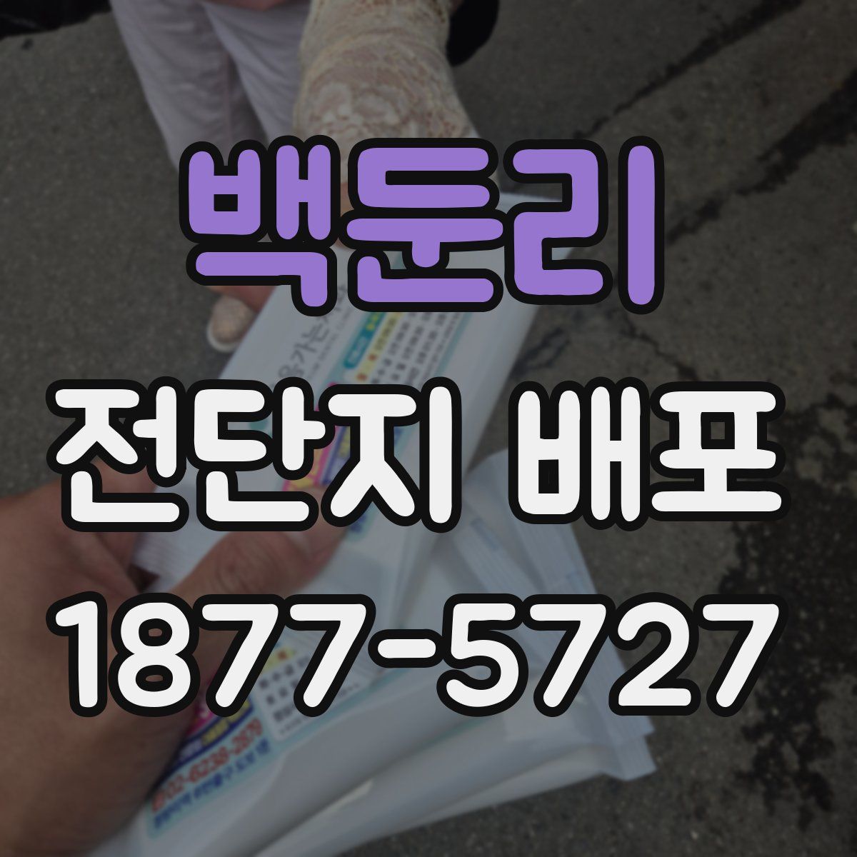 백둔리 전단지 배포