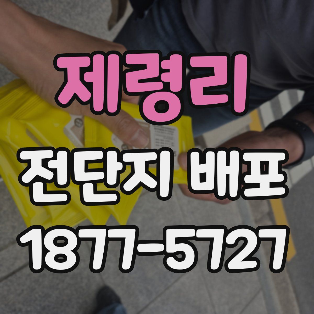 제령리 전단지 배포
