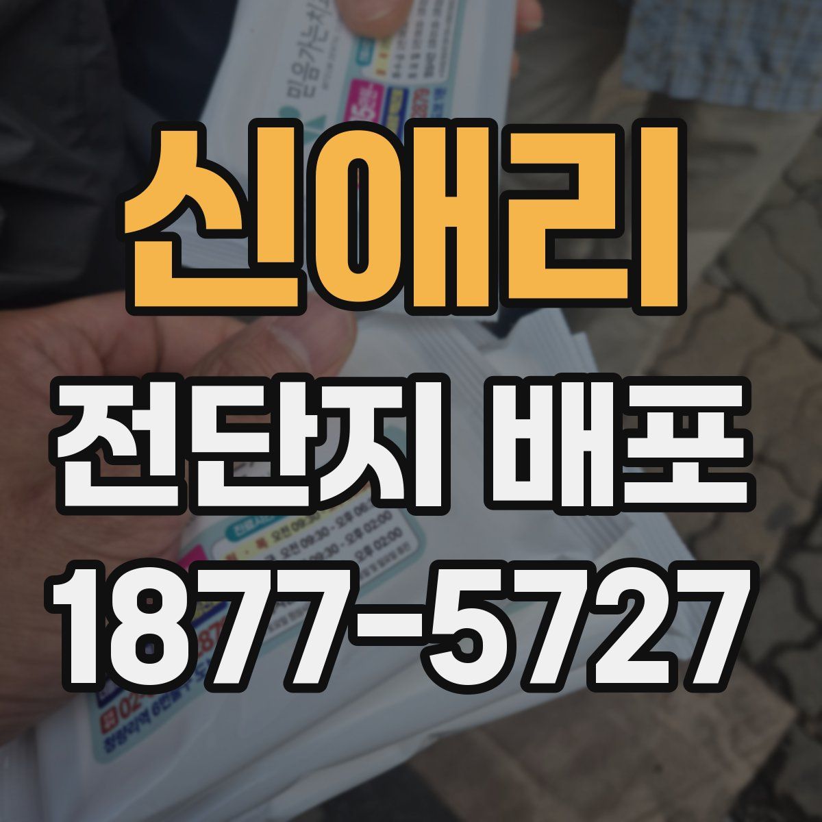 신애리 전단지 배포