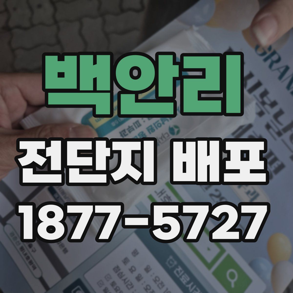 백안리 전단지 배포