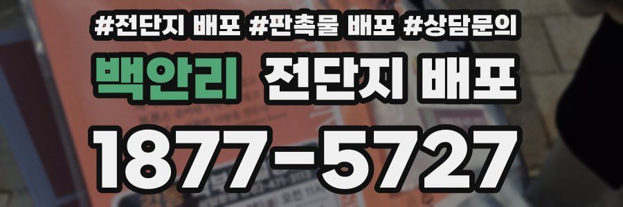 백안리 전단지 배포
