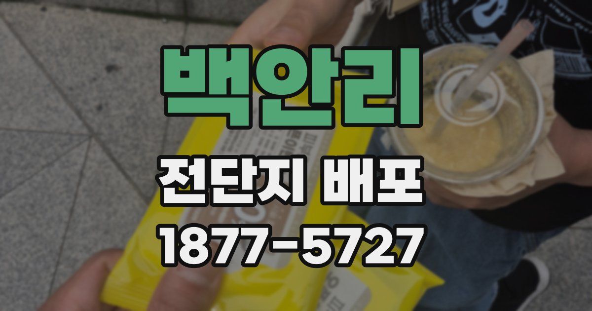 백안리 전단지 배포