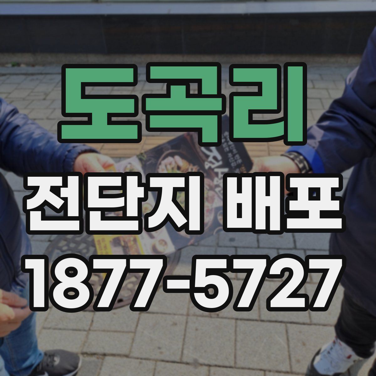 도곡리 전단지 배포