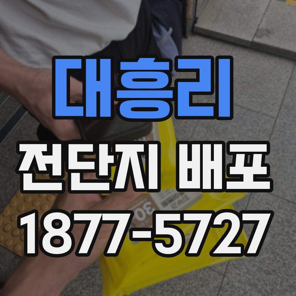 대흥리 전단지 배포