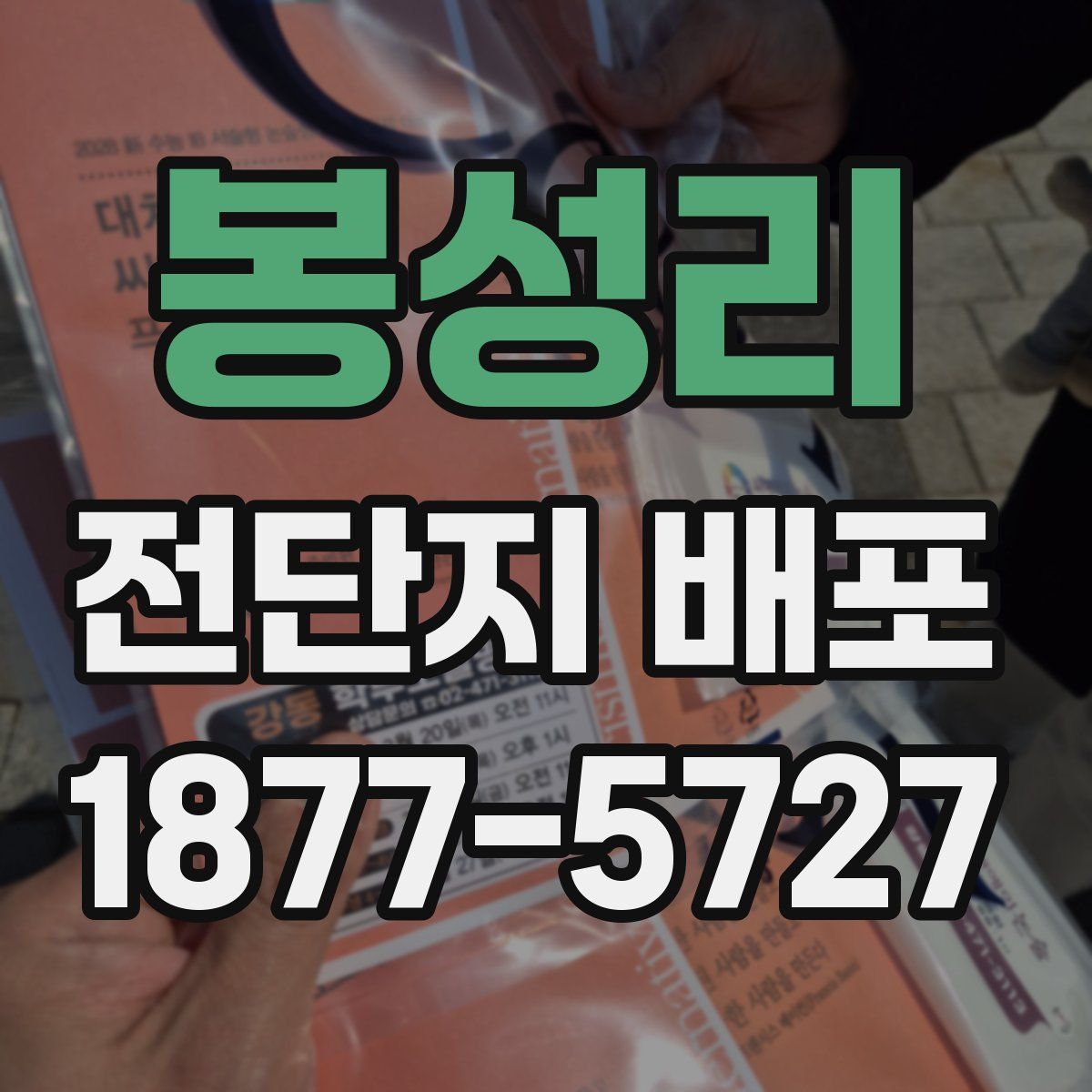 봉성리 전단지 배포