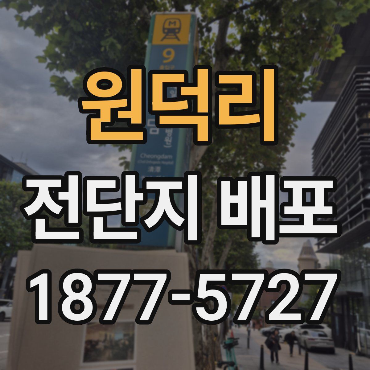 원덕리 전단지 배포