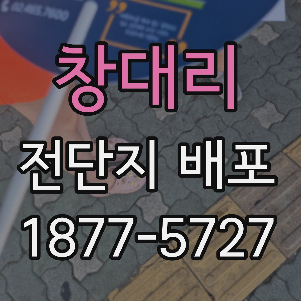 창대리 전단지 배포