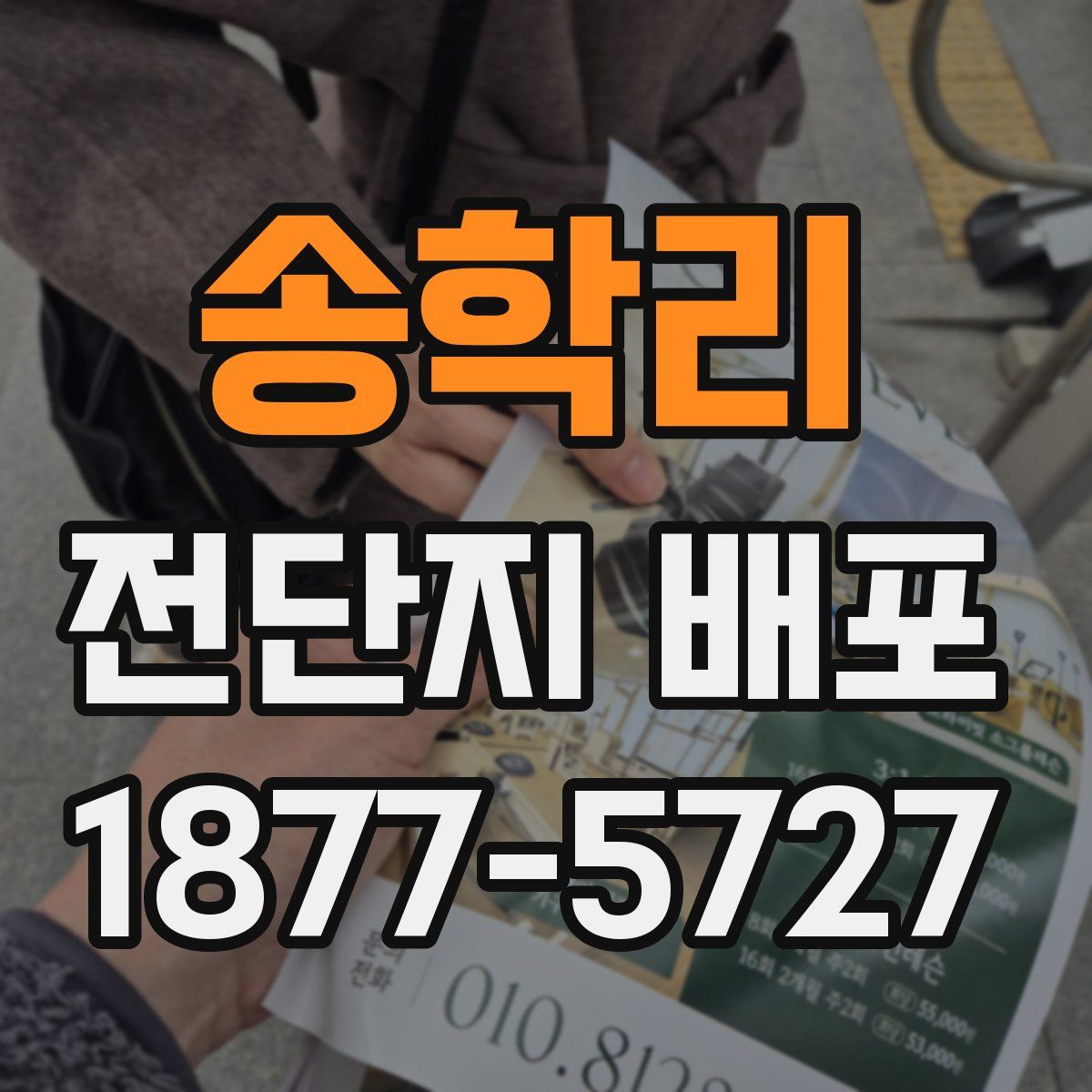 송학리 전단지 배포