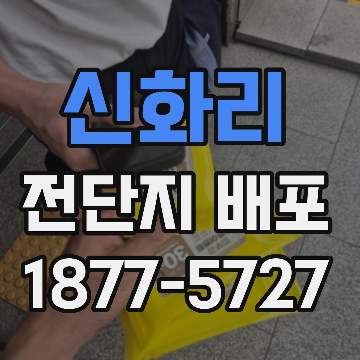 신화리 전단지 배포