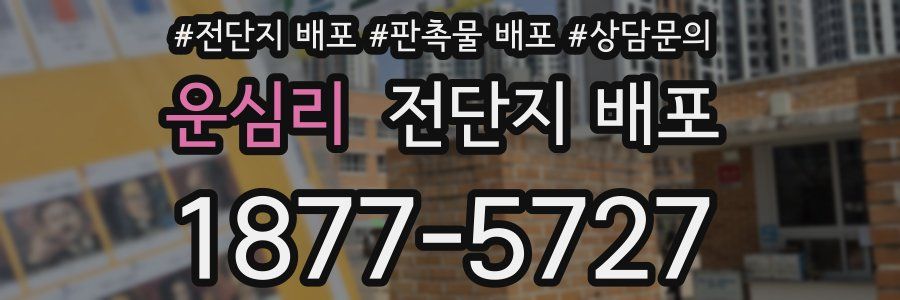 운심리 전단지 배포