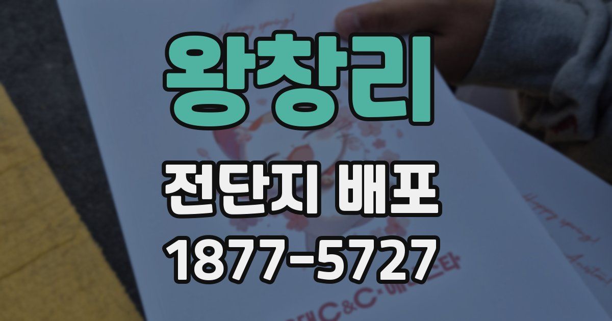 왕창리 전단지 배포