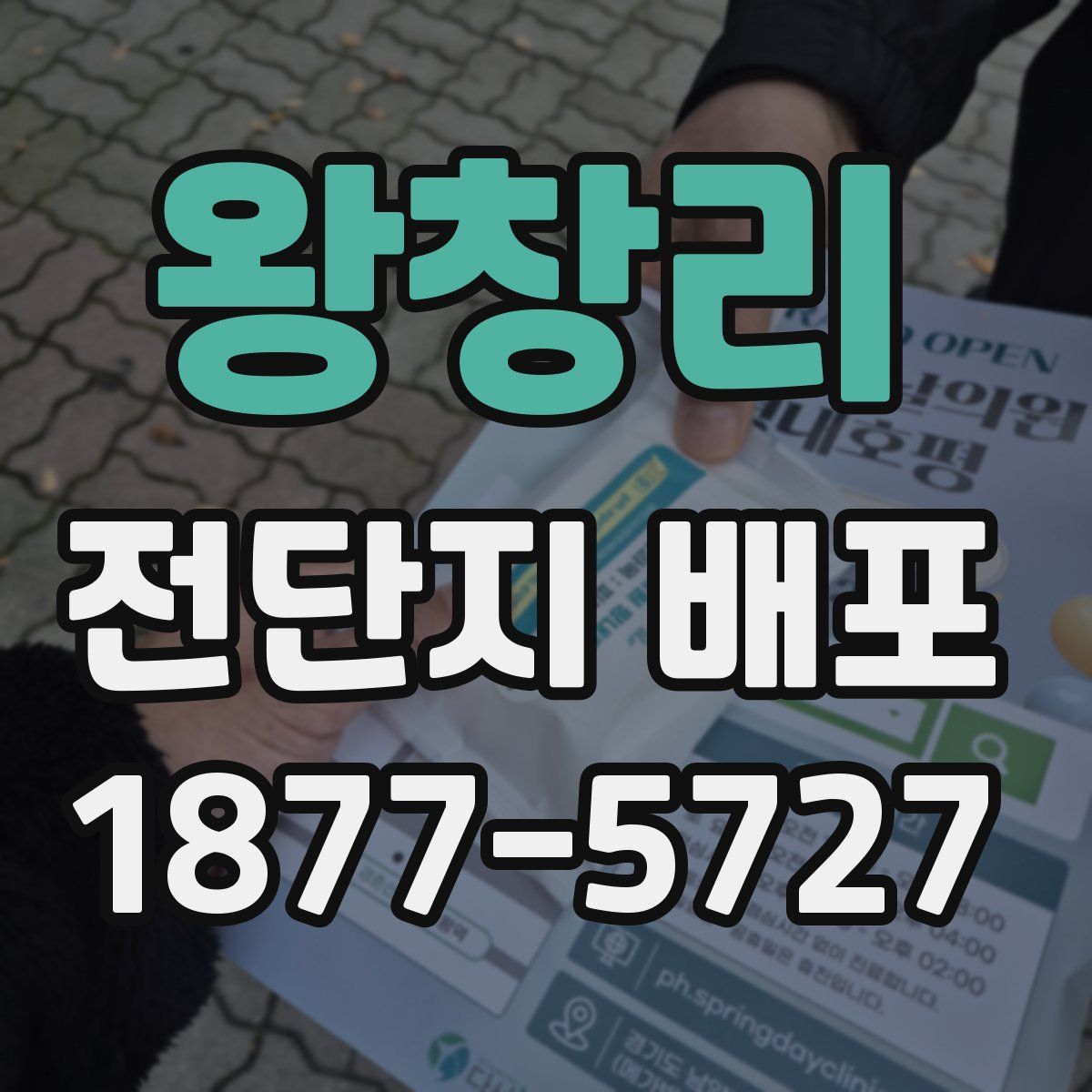 왕창리 전단지 배포
