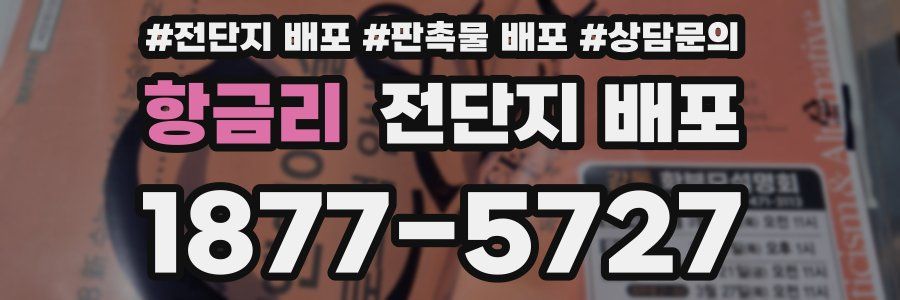 항금리 전단지 배포