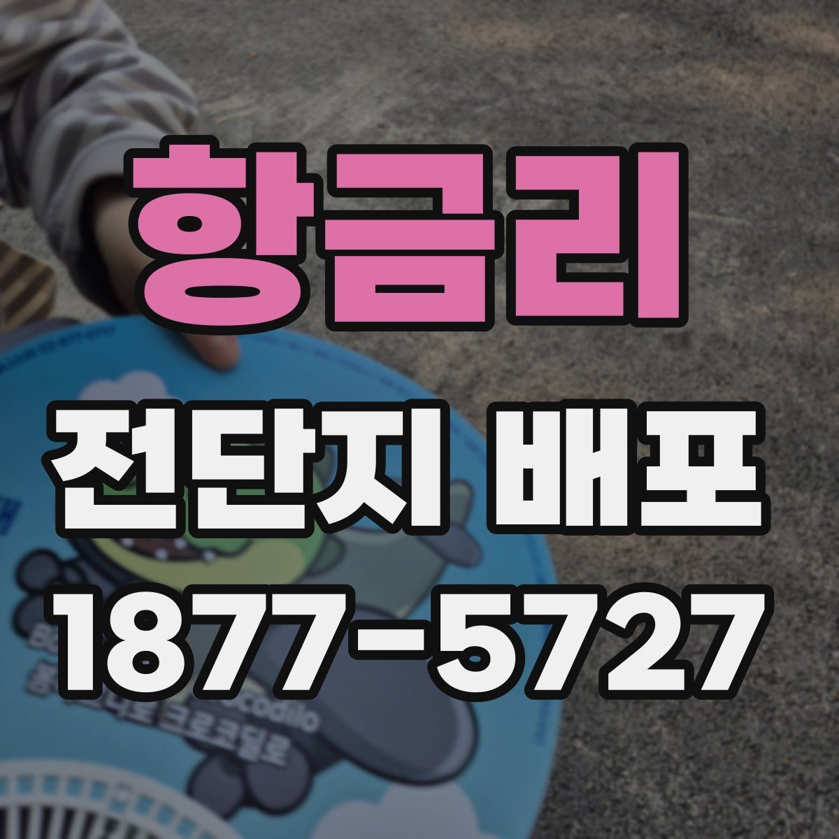 항금리 전단지 배포