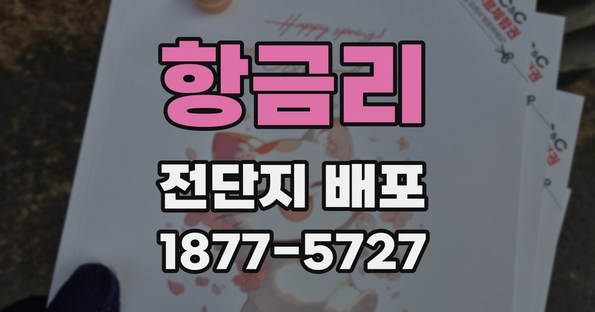 항금리 전단지 배포