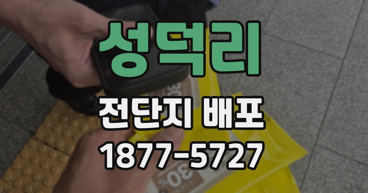 성덕리 전단지 배포