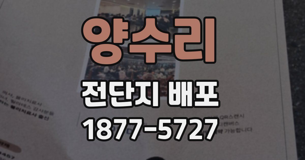 양수리 전단지 배포