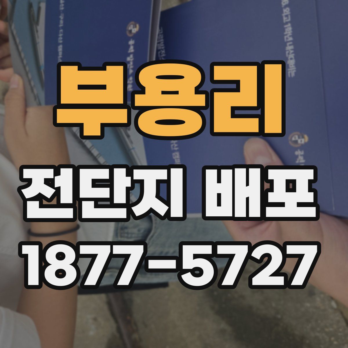 부용리 전단지 배포