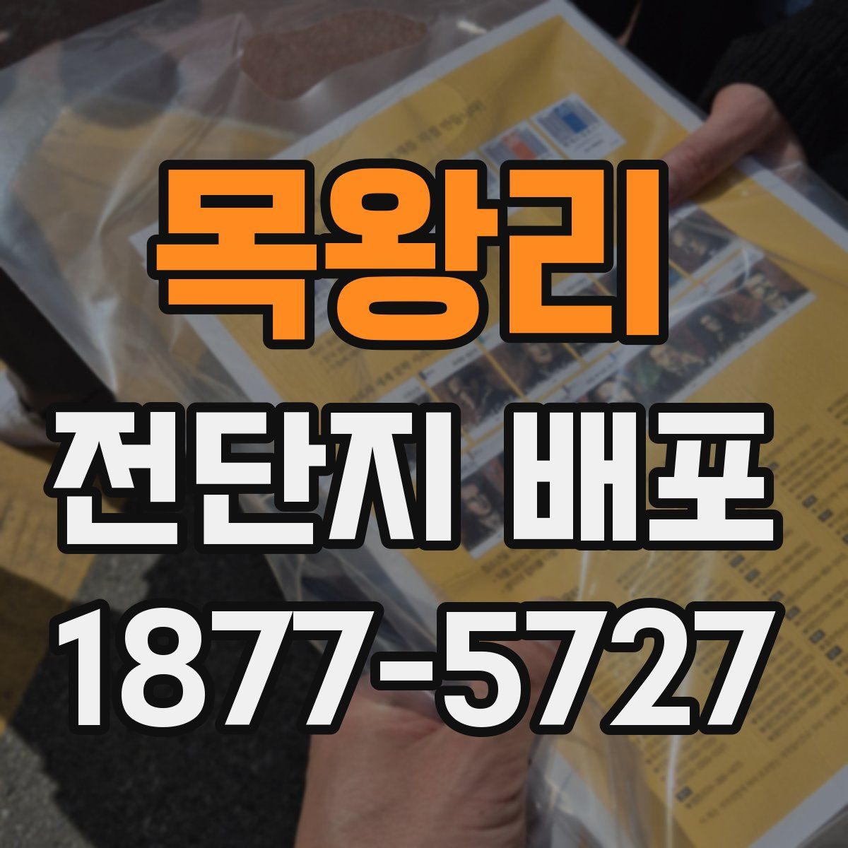 목왕리 전단지 배포