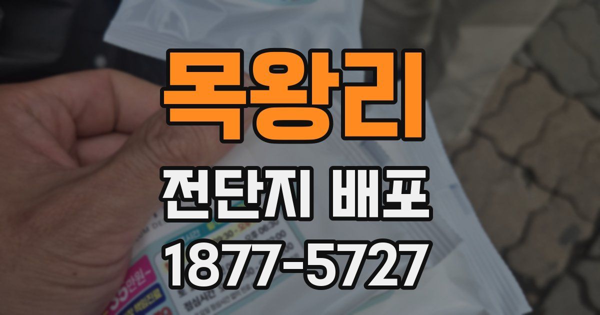 목왕리 전단지 배포