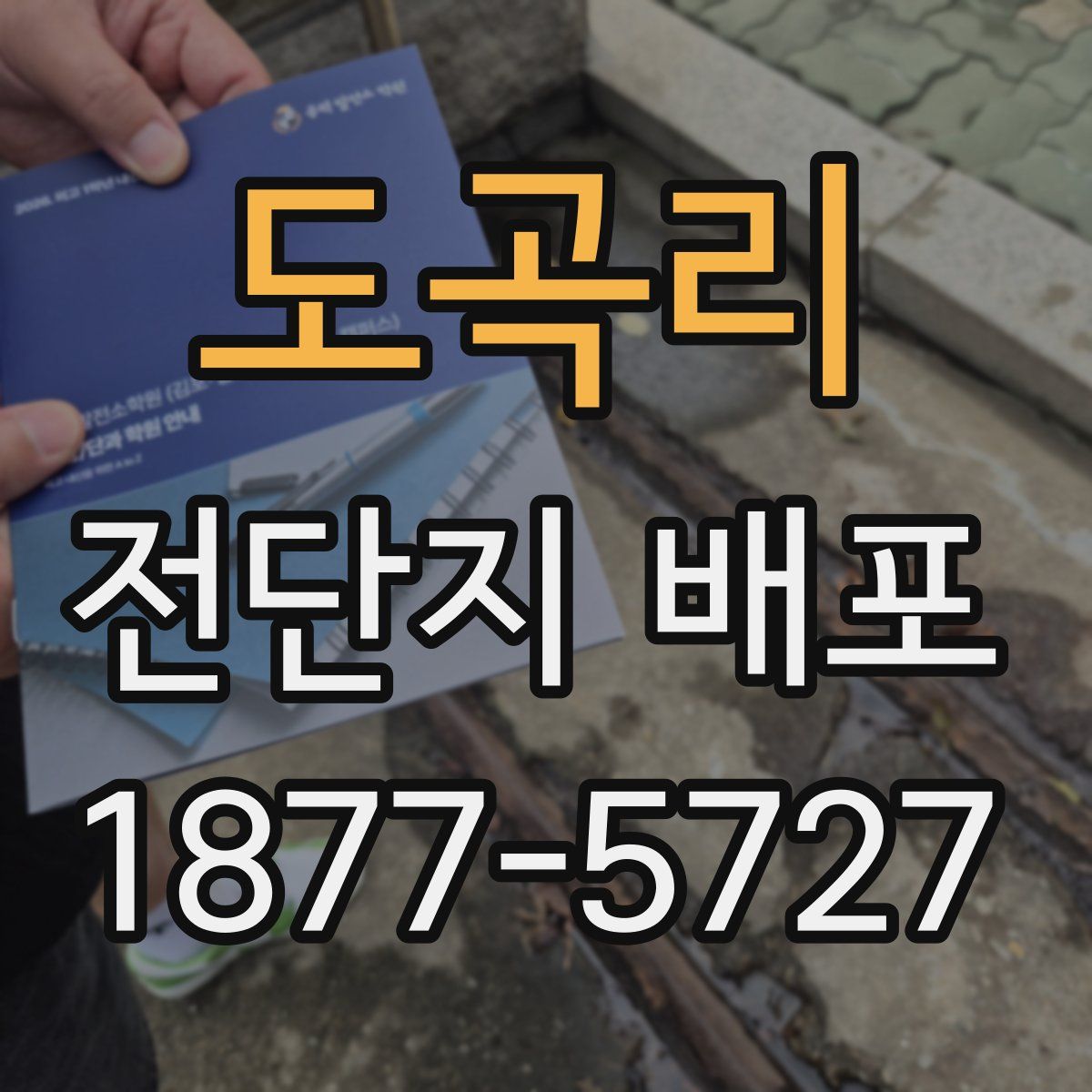 도곡리 전단지 배포