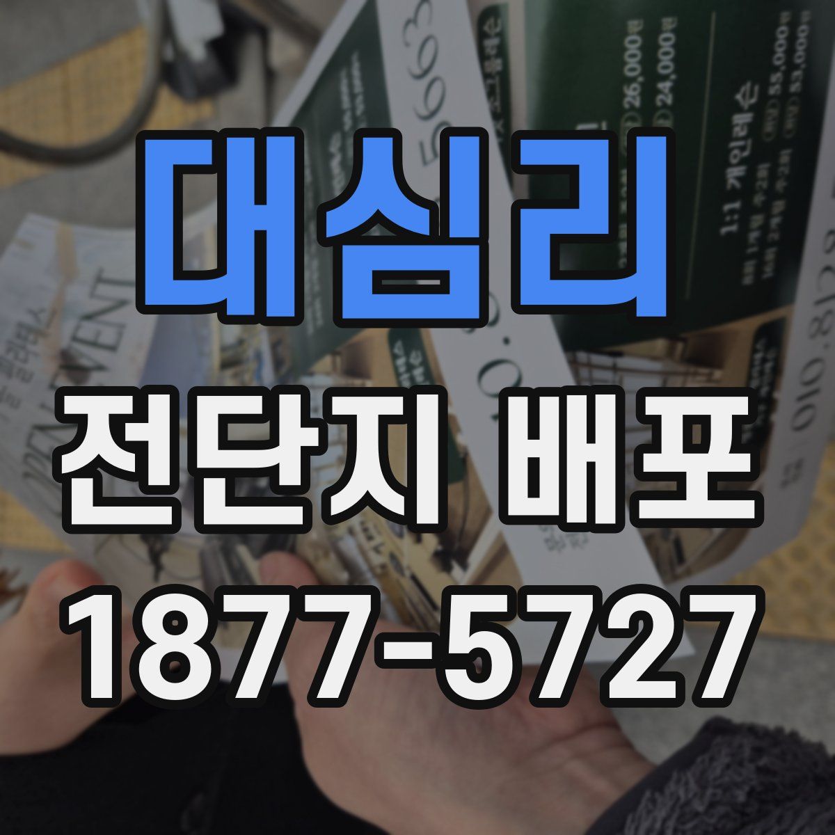 대심리 전단지 배포