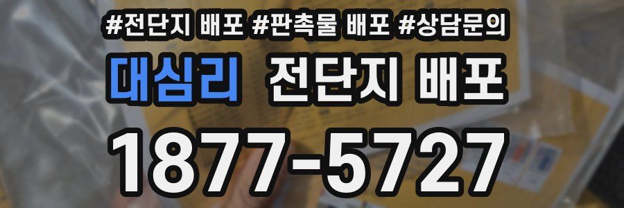 대심리 전단지 배포