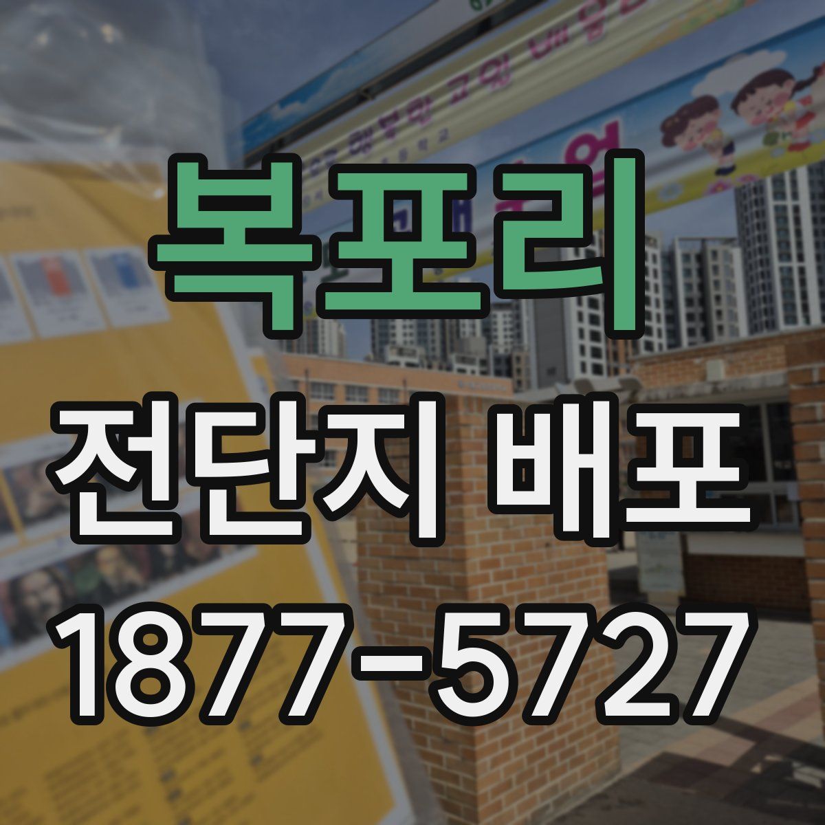 복포리 전단지 배포