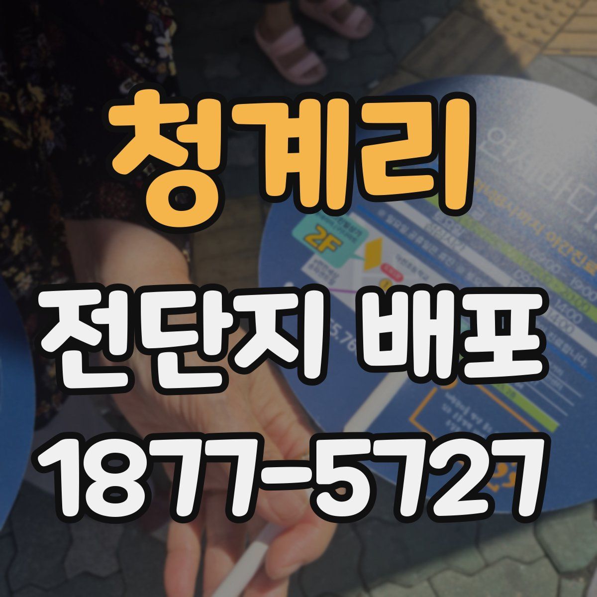 청계리 전단지 배포