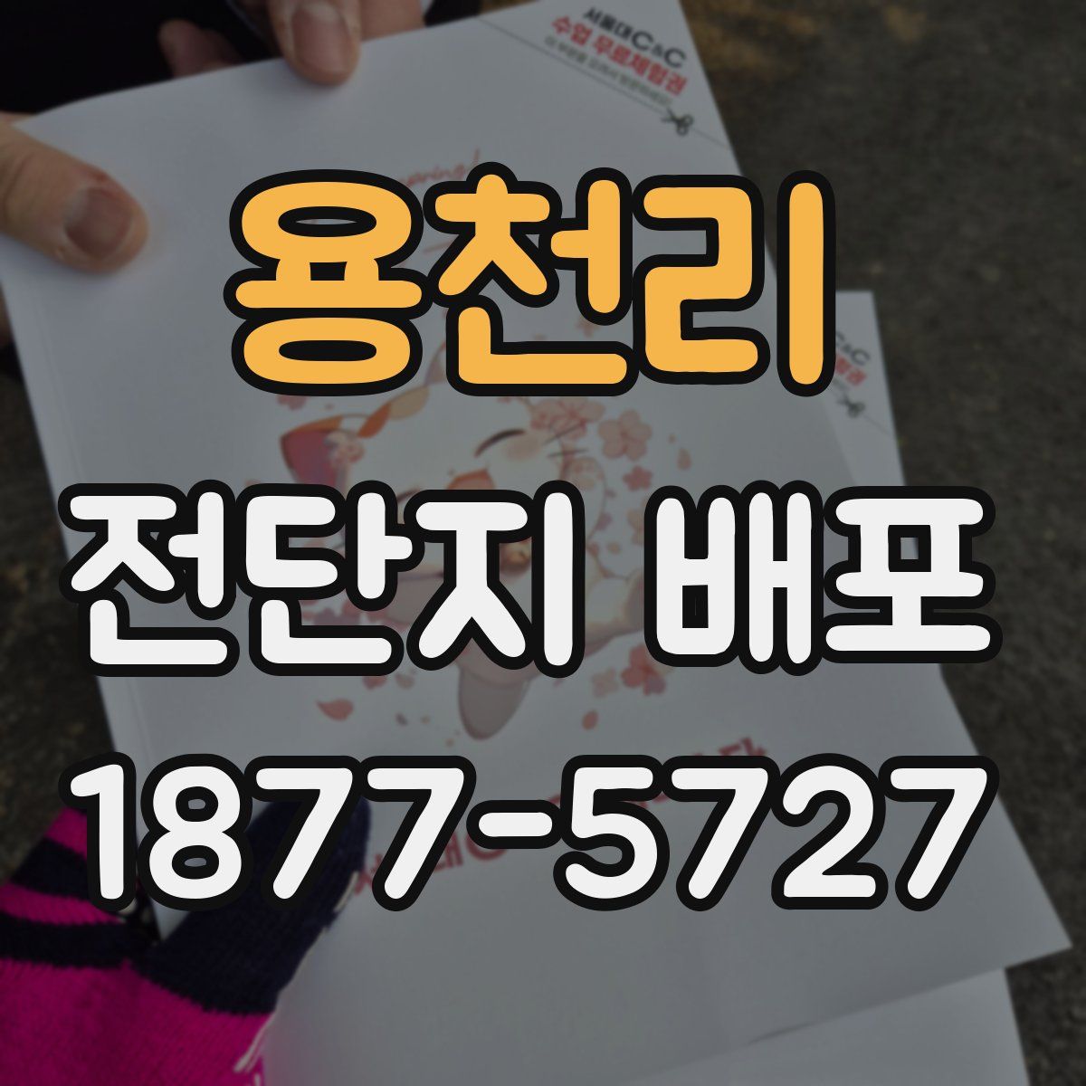 용천리 전단지 배포