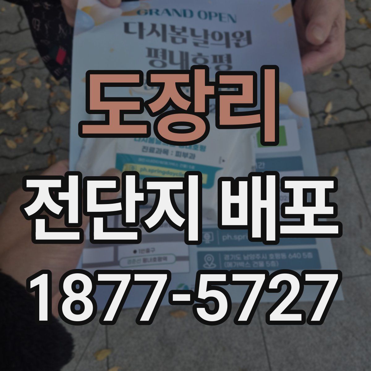 도장리 전단지 배포