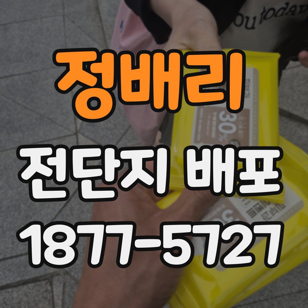 정배리 전단지 배포