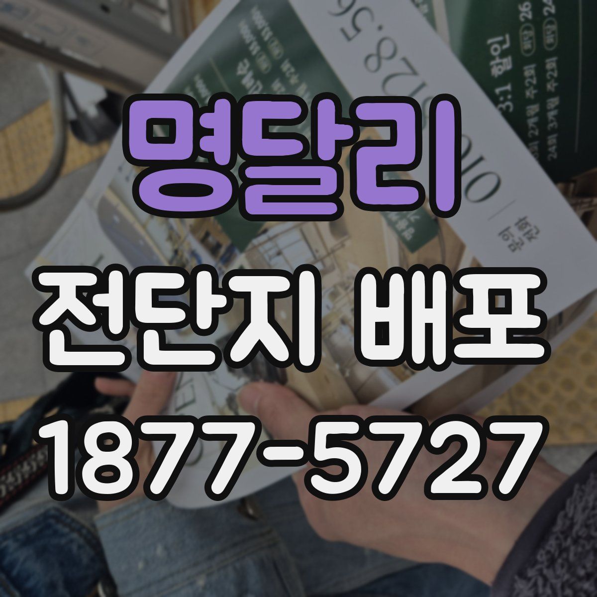 명달리 전단지 배포